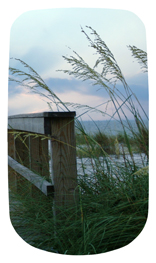 DAROYAL-125 Crossing Over (Boardwalk)